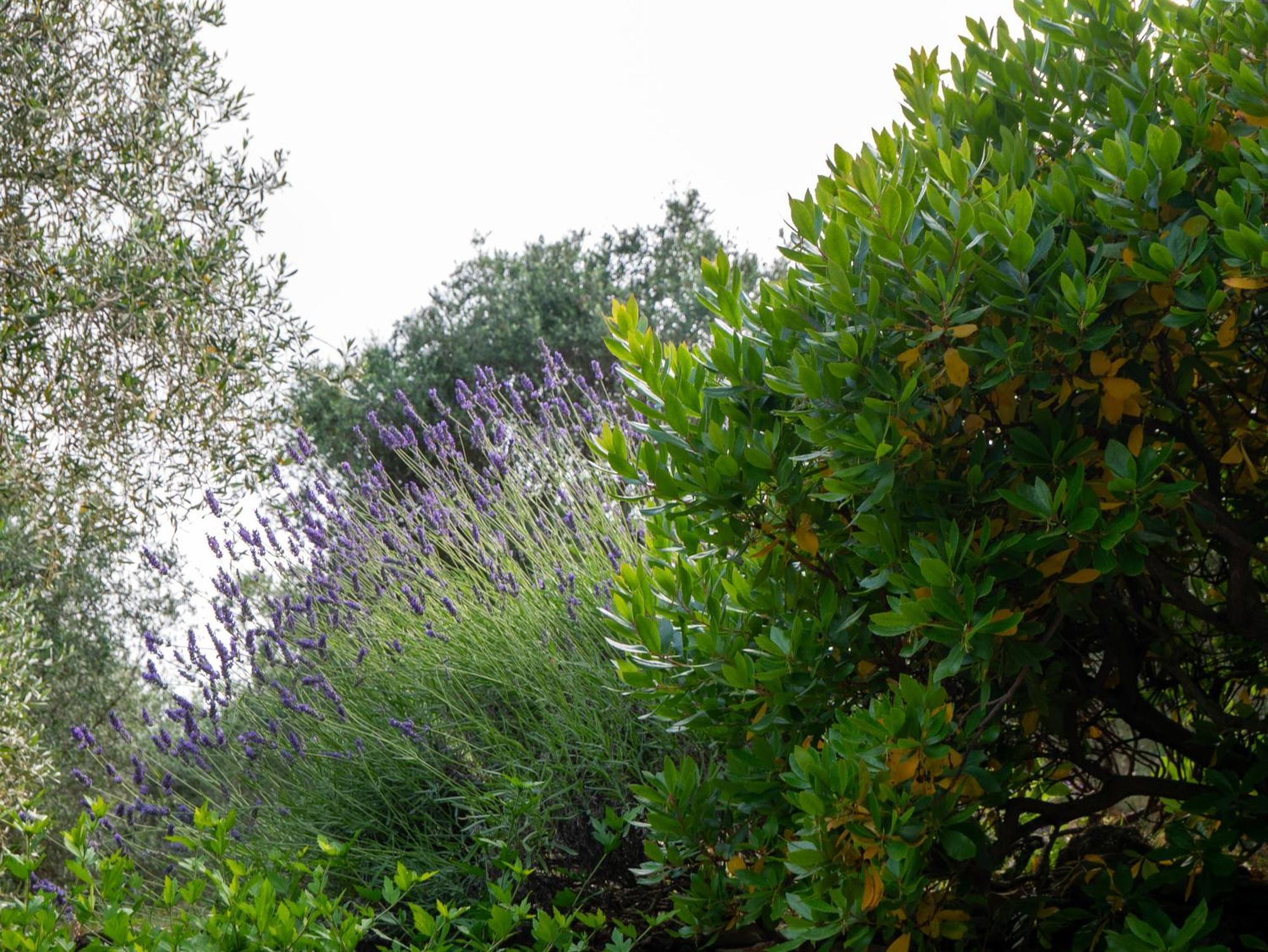 Agri Borgata Vallone - Apartments - By Host4U Lecchiore Buitenkant foto