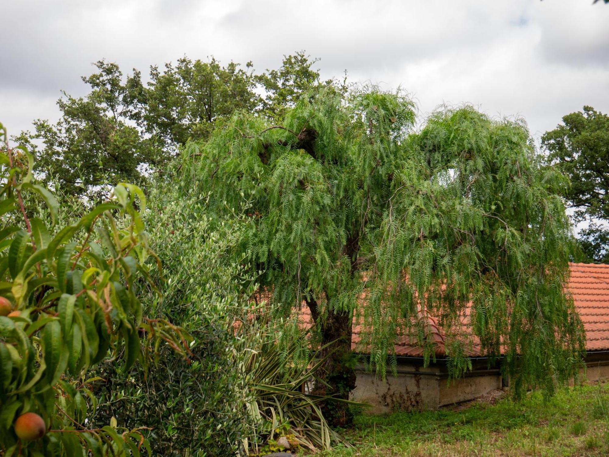 Agri Borgata Vallone - Apartments - By Host4U Lecchiore Buitenkant foto